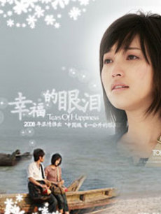 电视剧《 幸福的眼泪 》 导演、演员等详细信息