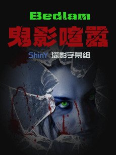 鬼影喧嚣/鬼影凶宅/疯人院