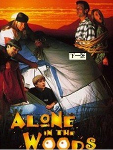 电影《新小鬼当家》 在线观看、剧情、剧照 -P