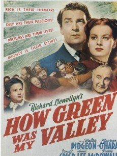 电影《青山翠谷》 海报、剧照 - PPTV电影