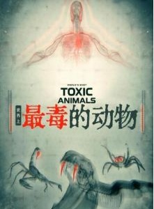 世界上最毒的动物